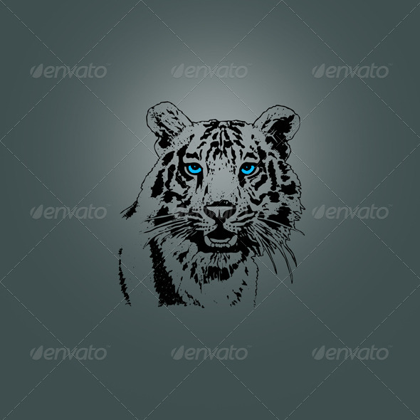 Tiger Head Design