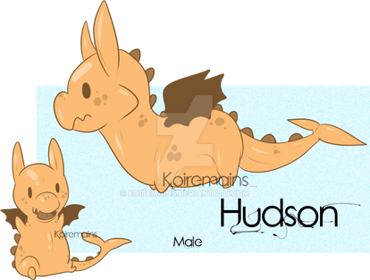 Hudson Ref