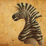 Zebra Head Test (side view)