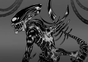 Xenomorph