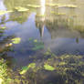 Azay-le-Rideau