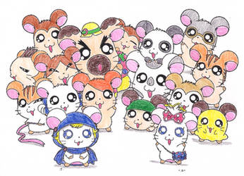 Hamtaro