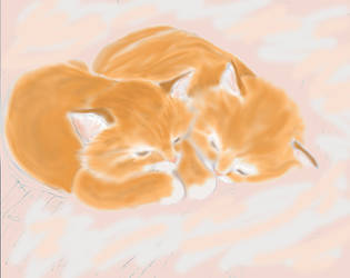 Dreaming Kittens