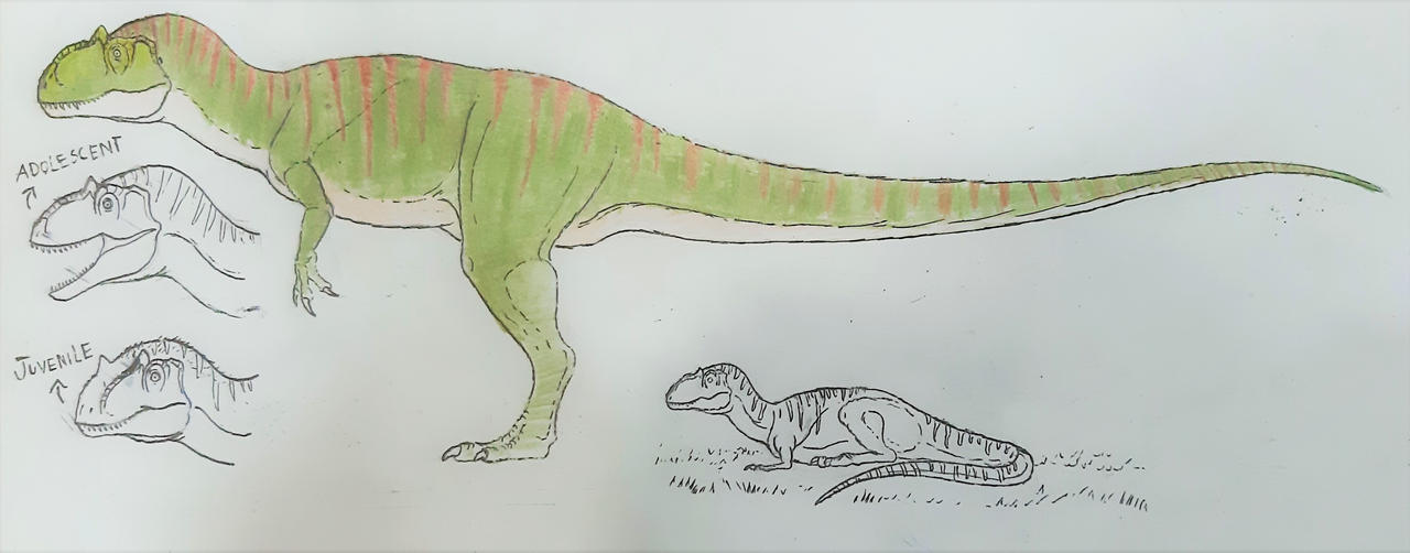 Metrisaurus Drawing Neon. The Metriacanthosaurus-Request by JWE1993 by ArK-54 on DeviantArt