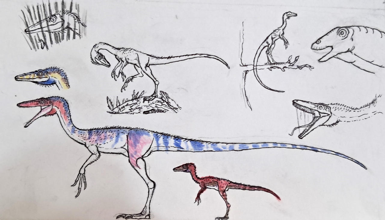 Coelurus Deviantart Coelurus- JWCCTR JWR (Fanfic) by ArK-54 on DeviantArt
