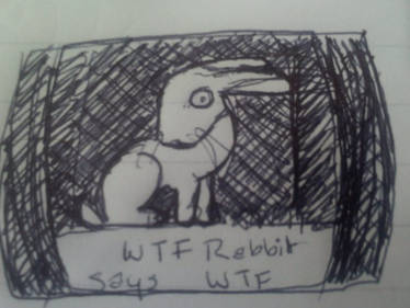 WTF Rabbit Says WTF