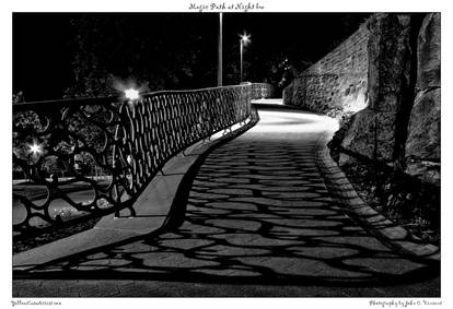 Magic Path at Night bw