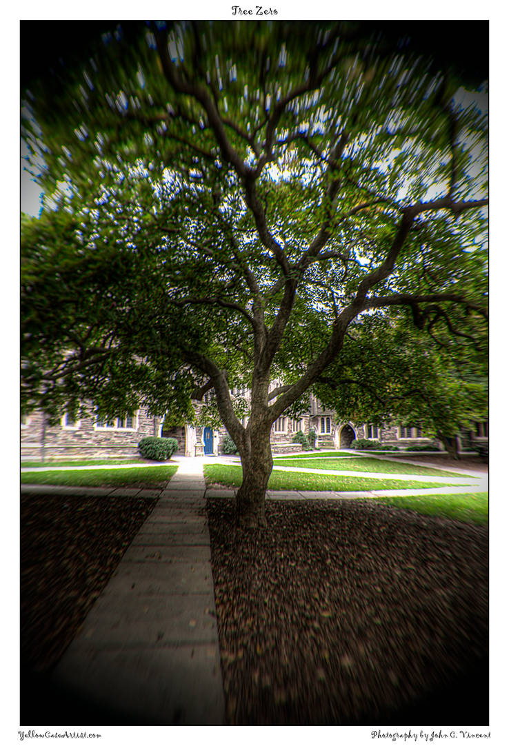 Tree Zero by yellowcaseartist on DeviantArt