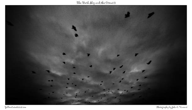 The Dark Sky and the Crows 3