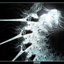 Spine