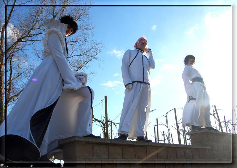 Bleach - Espada RANK by aco-rea on DeviantArt