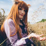 Spice And Wolf - Corn