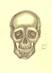 Skull: Front Profile