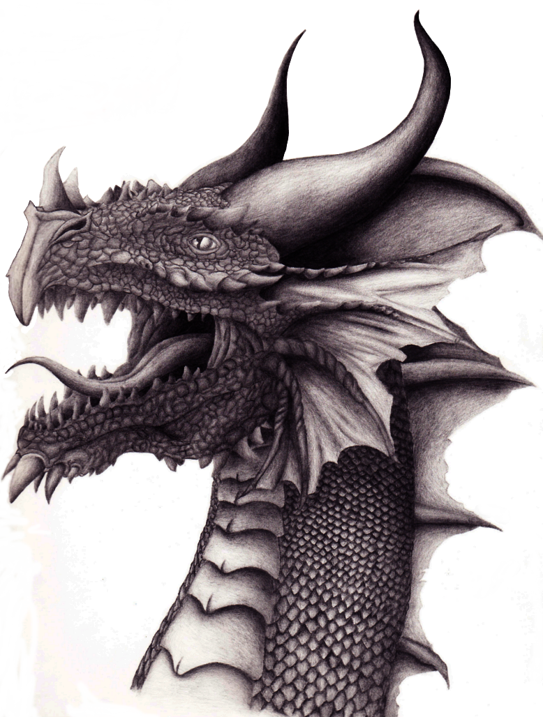 Drawing of a Dragon