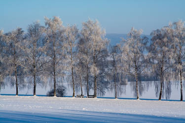 Winter in Germany