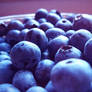 blueberries
