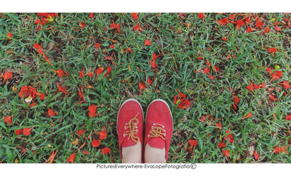 Red shoes.