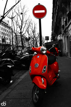 Dans les rues de Paris