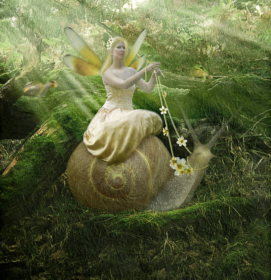 Snail Rider by JinxMim on DeviantArt
