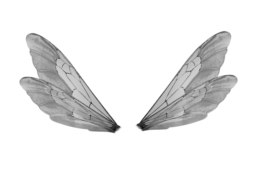 Silver Wings