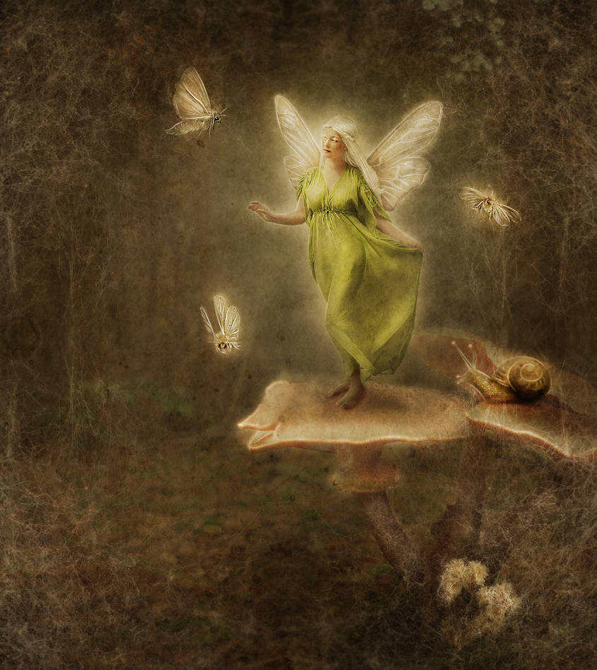 Moths to a Flame by JinxMim