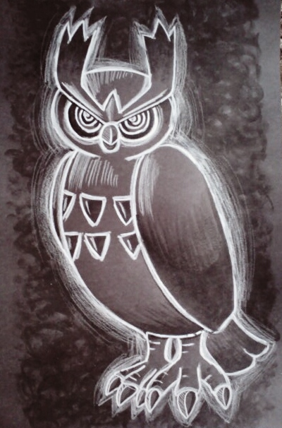 Noctowl