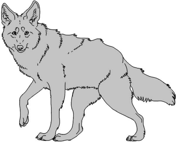 Free Coyote Lineart