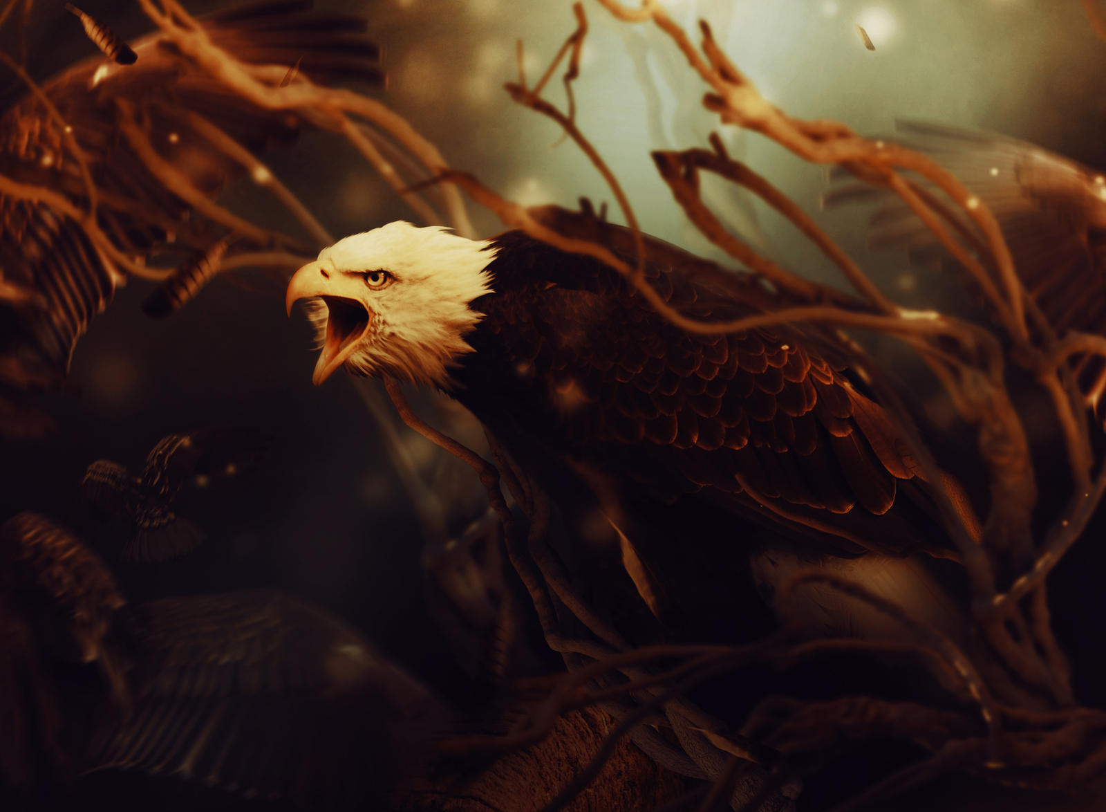 Eagle by LanaTustich