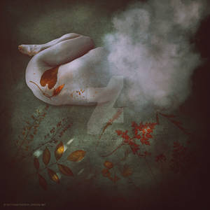 Flora by LanaTustich Flora by LanaTustich