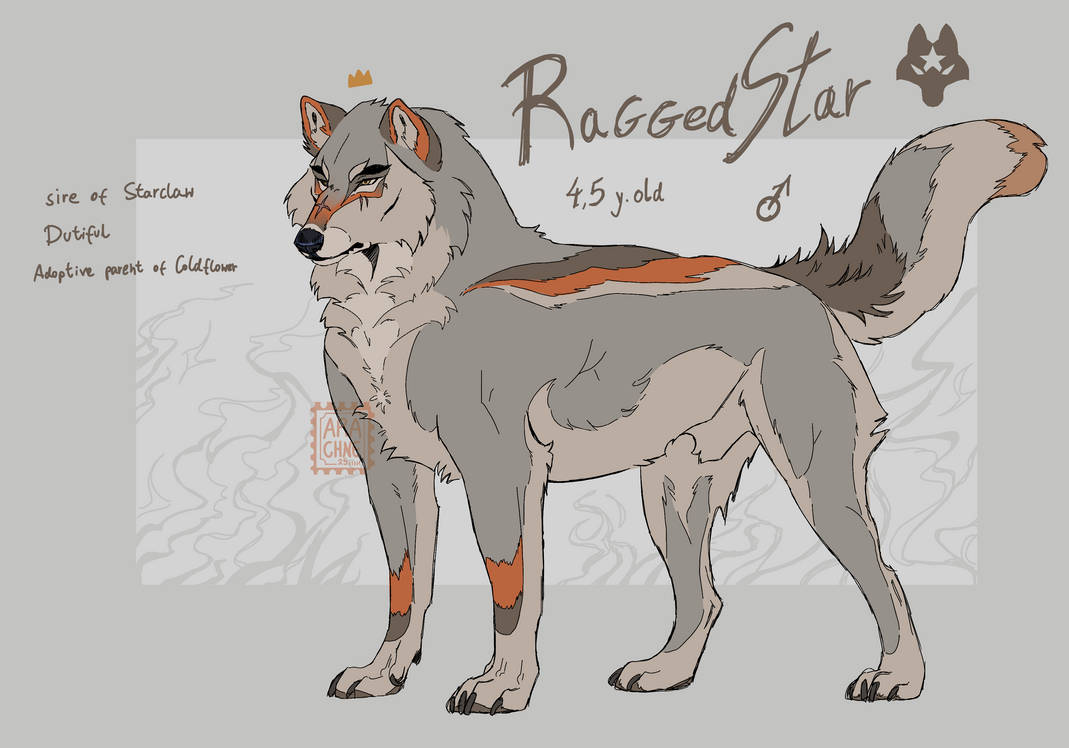 RaggedStar reference by ArachneV on DeviantArt