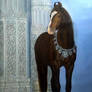 A beautiful marwari horse original Yashowar Verma 