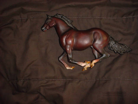 Horse 9