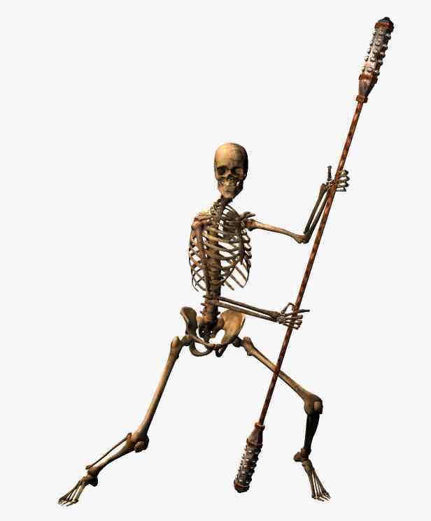 Skeleton Guard 1 by NAngel1298 on DeviantArt