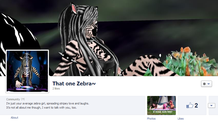 That One Zebra