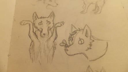 Puppy Sketches part 2