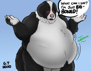 Big Boned