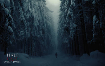 Winter Forest