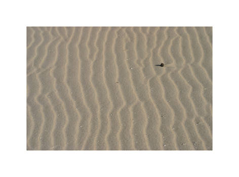 Sandscape 1