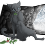 I've always wanted to be a warrior - Cinderpelt