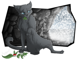 I've always wanted to be a warrior - Cinderpelt