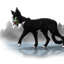 Saltpaw