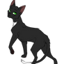 Warrior Cats characters - Ravenpaw