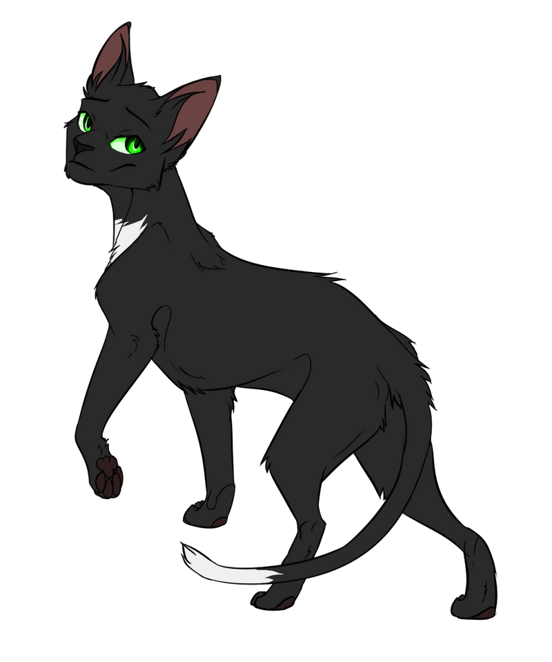 Warrior Cats characters - Ravenpaw by Kocurzyca on DeviantArt