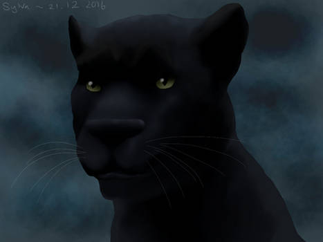 Bagheera