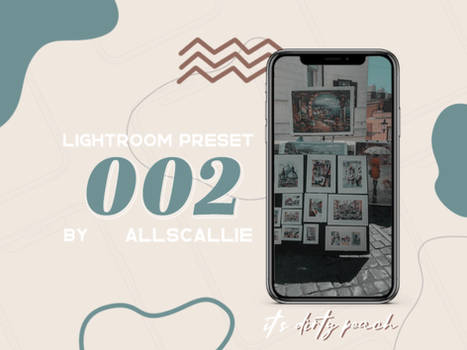 FREE LIGHTROOM PRESET 002 by Allscallie.