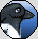 Mr Magpie icon