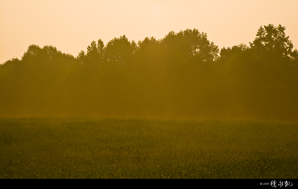 golden light