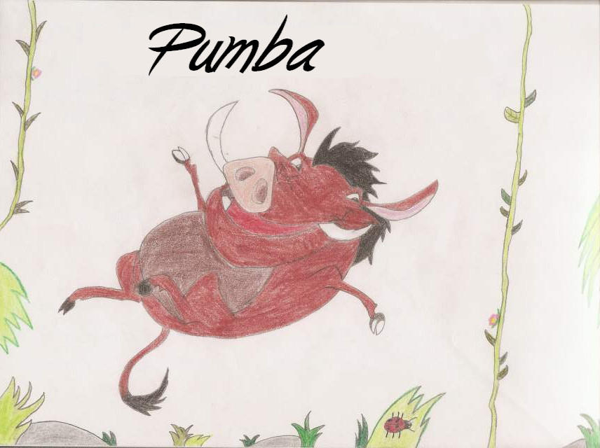 Pumba by Choukette23 on DeviantArt