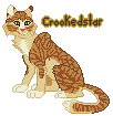 crookedstar