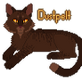 dustpelt